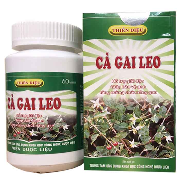 ca-gai-leo-vien-duoc-lieu-1