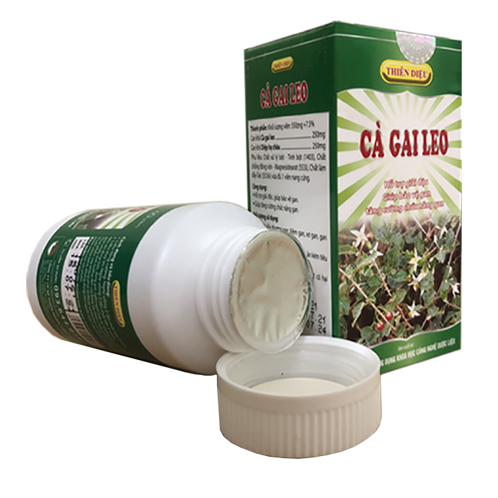 ca-gai-leo-vien-duoc-lieu-3