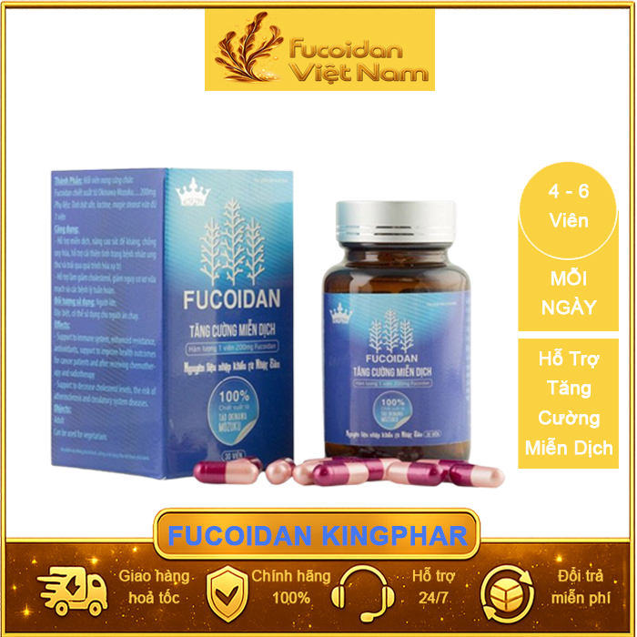 Fucoidan Kingphar - Nâng cao sức đề kháng. Hộp 40 viên