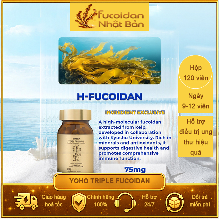 Yoho-Triple-Fucoidan-Hop-120vien-FuNB-2
